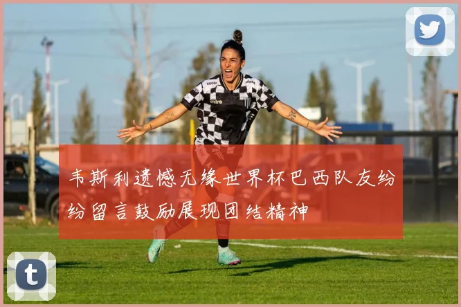 韦斯利遗憾无缘世界杯巴西队友纷纷留言鼓励展现团结精神