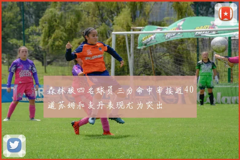 森林狼四名球员三分命中率接近40道苏姆和麦丹表现尤为突出